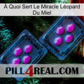 À Quoi Sert Le Miracle Léopard Du Miel 03